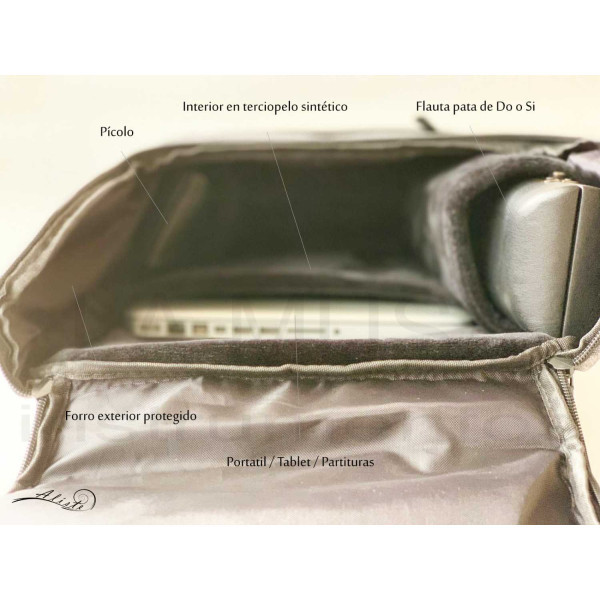 Allora flute sales gig bag